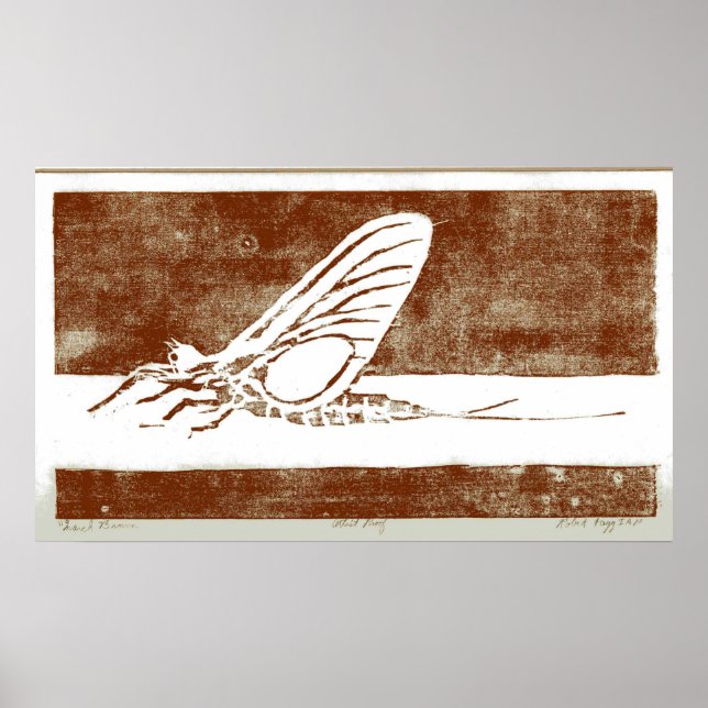 März Brown May Fly Poster (Vorne)