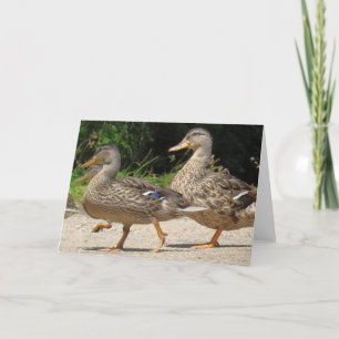 März der Grußkarte der Enten Karte