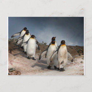 März der Pinguine Postkarte