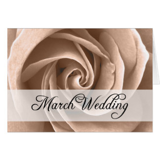 März Hochzeit : Rose der Saison: