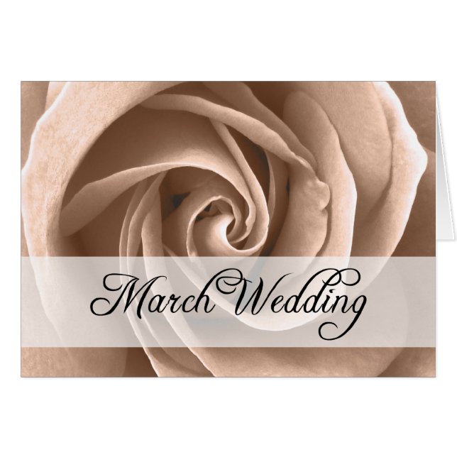 März Hochzeit : Rose der Saison: (Vorderseite (Horizontal))