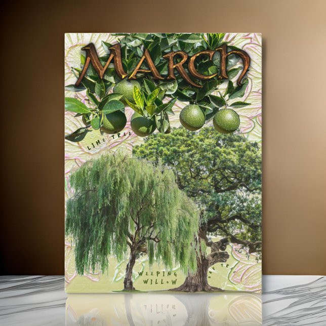 März Month Treeping Willow Limon Oak Postkarte (Von Creator hochgeladen)