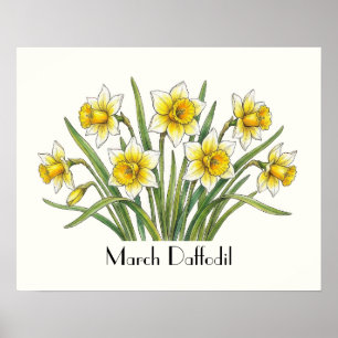 März Narzissen Blumen Poster