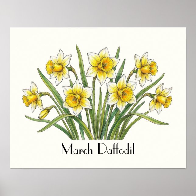 März Narzissen Blumen Poster (Vorne)