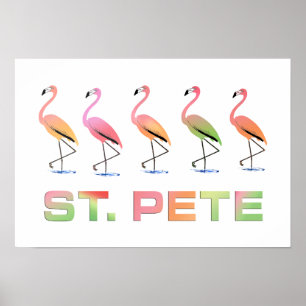 März Tropical Flamingos - St Pete Poster