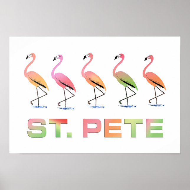 März Tropical Flamingos - St Pete Poster (Vorne)