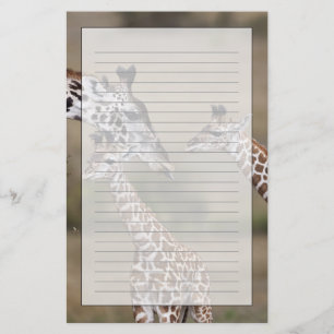 Masai-Giraffe (Giraffe Tippelskirchi) Briefpapier