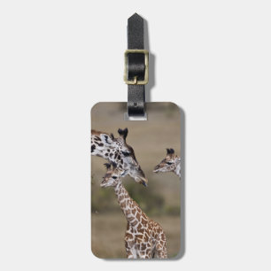 Masai-Giraffe (Giraffe Tippelskirchi) Gepäckanhänger