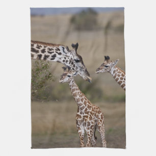 Masai-Giraffe (Giraffe Tippelskirchi) Handtuch