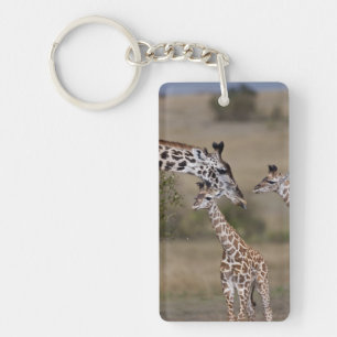 Masai-Giraffe (Giraffe Tippelskirchi) Schlüsselanhänger