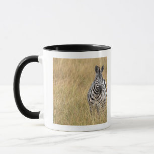 Masai Mara, Kenia Tasse