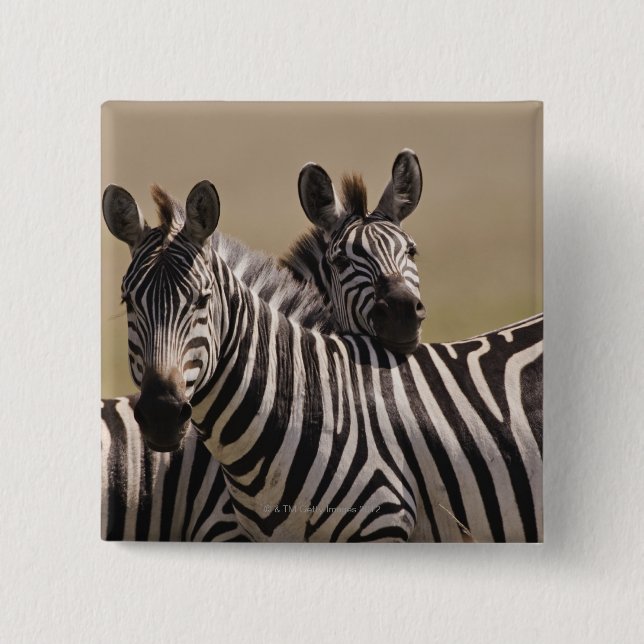 Masai Mara National Reserve, Kenia, Juli 2005 3 Button (Vorderseite)