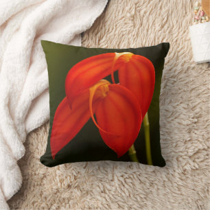 Masdevallia ignea Orchideen Kissen