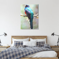 Masked Trogon