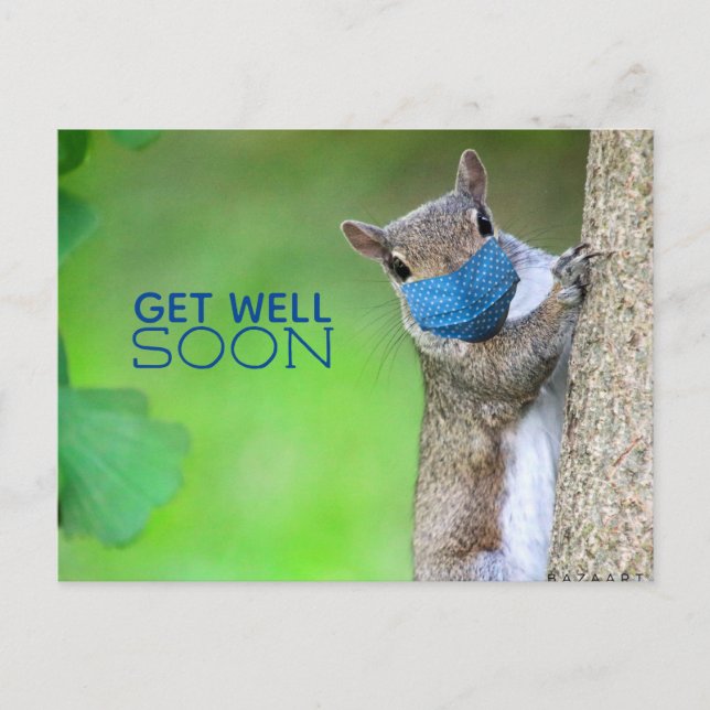 Maskierte Eichhörnchen-Grüße zur Genesung Postkart Postkarte (Vorderseite)