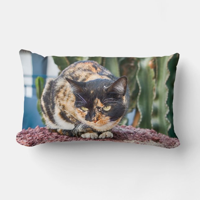 Maspalomas Cat Lendenkissen (Vorderseite)