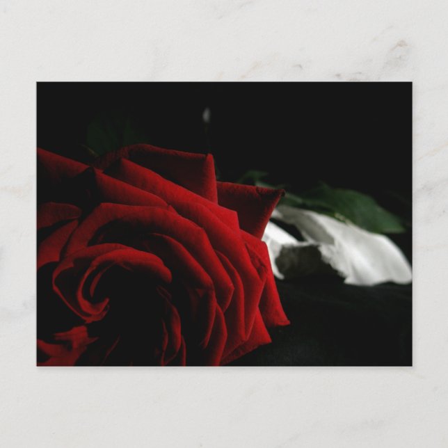 Masquerade Postkarte (Vorderseite)