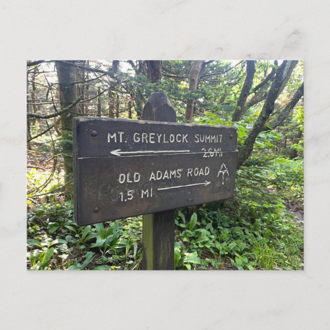Massachusetts Appalachian Trail Postkarte (Vorderseite)