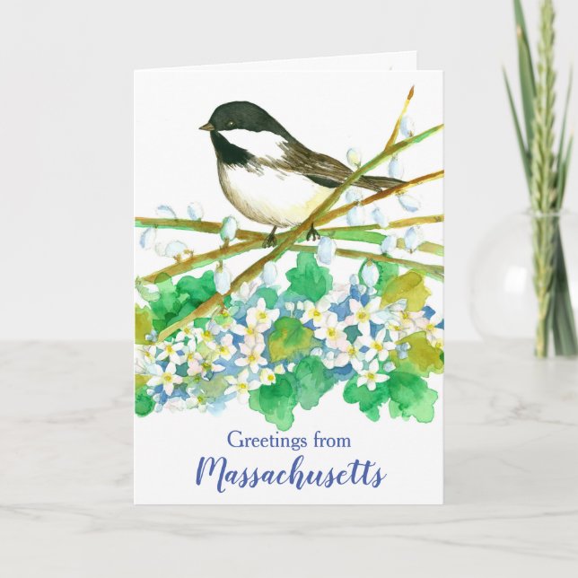 Massachusetts Chickadee Bird Staat Greeting Karte (Vorderseite)