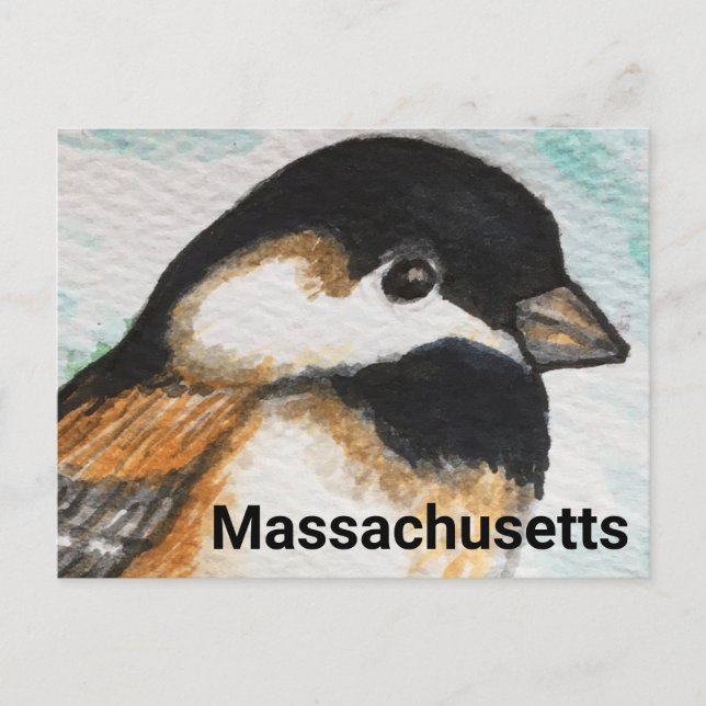 Massachusetts Chickadee Staat Vogelmalerei Postkarte (Vorderseite)