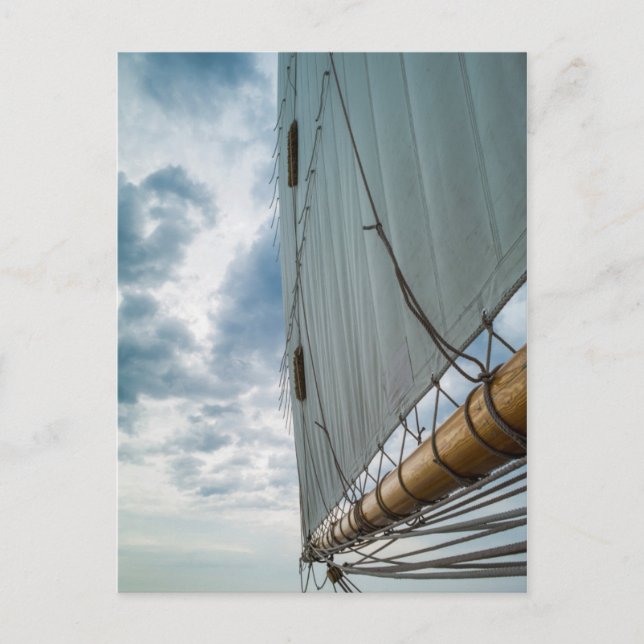 Massachusetts, Gloucester, Schooner Festival 4 Postkarte (Vorderseite)
