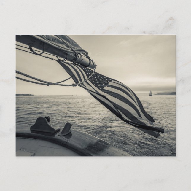 Massachusetts, Gloucester, Schooner Festival 5 Postkarte (Vorderseite)