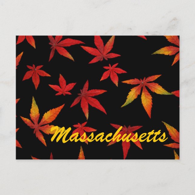 Massachusetts Herbstleaves Postkarte (Vorderseite)