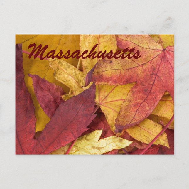 Massachusetts Herbstleaves Postkarte (Vorderseite)