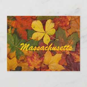 Massachusetts Herbstleaves Postkarte