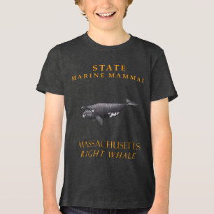 Massachusetts Meeressäuger Der Rechte Wal Tri-Blend Shirt