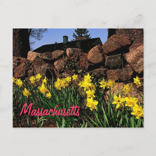Massachusetts Postkarte (Vorderseite)