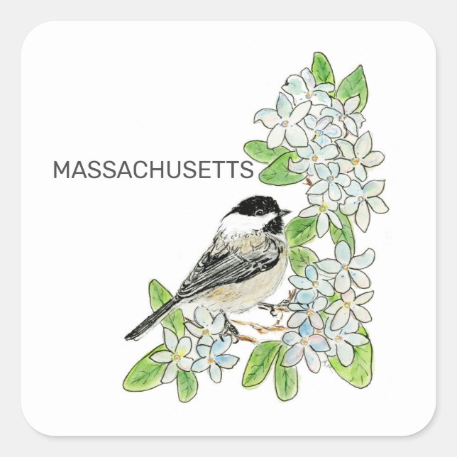 Massachusetts Vogel und Blume Quadratischer Aufkleber (Vorderseite)