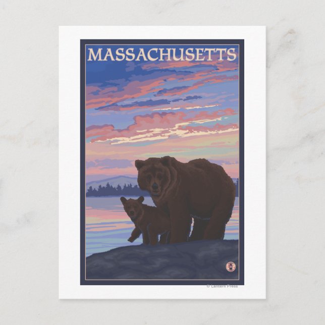 MassachusettsBär und Cub Postkarte (Vorderseite)