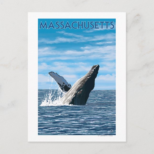 MassachusettsHumpback Whale Scene Postkarte (Vorderseite)