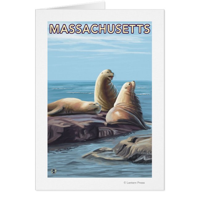 MassachusettsSea Lions Scene (Vorne)