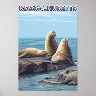 MassachusettsSea Löwe-Szene Poster