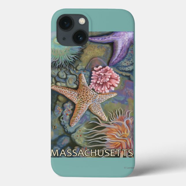 MassachusettsTidepool Scene Case-Mate iPhone Hülle (Rückseite)