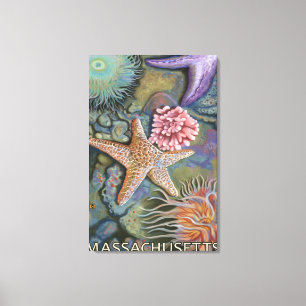 MassachusettsTidepool Scene Leinwanddruck