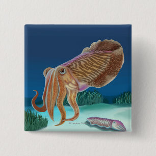 MassachusettsTintenfischszene Button