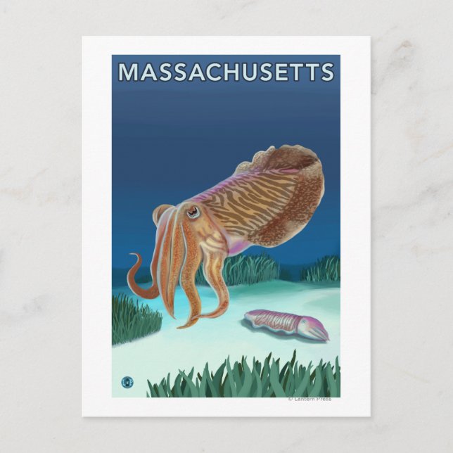 MassachusettsTintenfischszene Postkarte (Vorderseite)