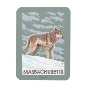 MassachusettsWolf Szene Magnet