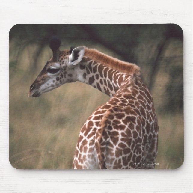 Massai Giraffe 2 Mousepad (Vorne)