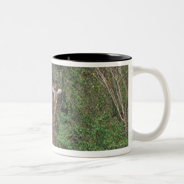 Massai Giraffe 3 Zweifarbige Tasse (Rechts)