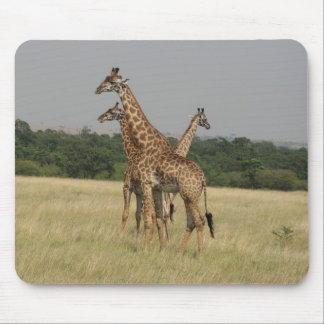 Massai Giraffen Mousepad