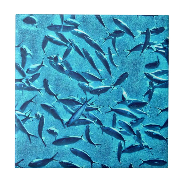 Masse der Fische Fliese (Vorderseite)