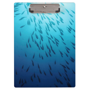 Masse der Fische Klemmbrett