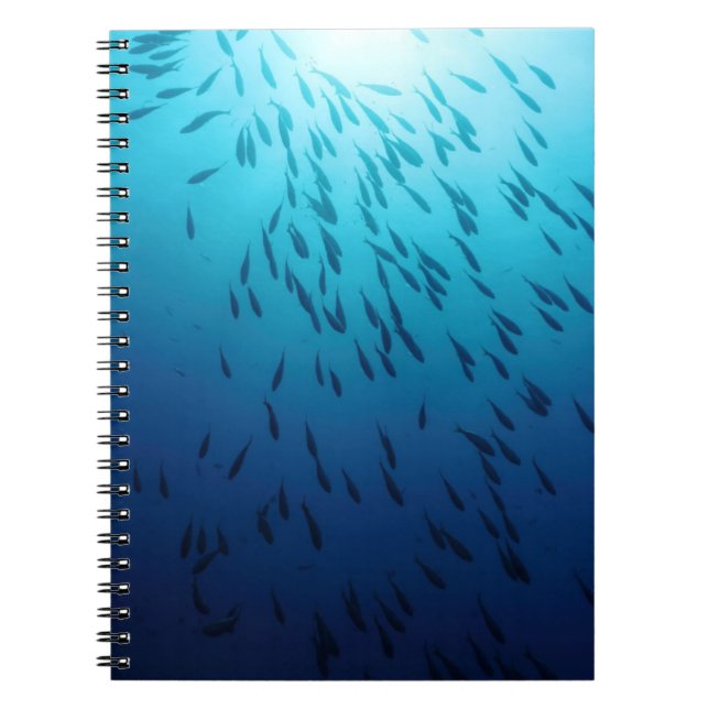 Masse der Fische Notizblock (Vorderseite)
