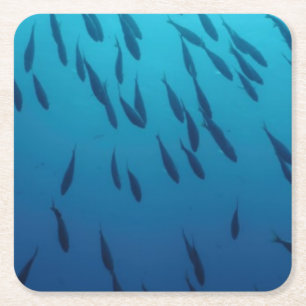 Masse der Fische Rechteckiger Pappuntersetzer