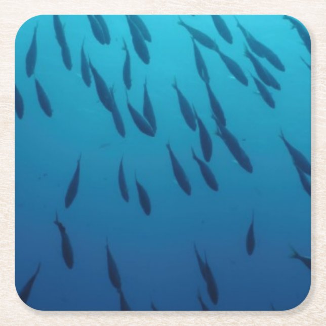 Masse der Fische Rechteckiger Pappuntersetzer (Vorderseite)