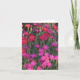MASSE VON PINK UND ROTEN BLUME KARTE